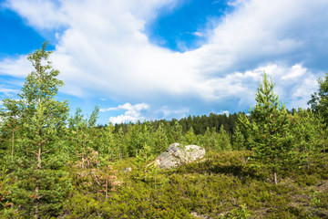 Fototapeta na wymiar Large rocks boulders in the nature reserve of mount Vottovaara, Karelia.