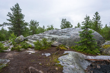 Fototapeta na wymiar A large stone staircase in the nature reserve of mount Vottovaara, Karelia.