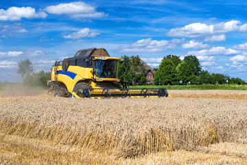 Obraz premium Combine harvester at the grain harvest - 6546