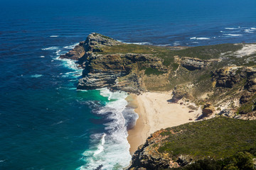 Fototapeta premium South Africa Cape of good Hope beach