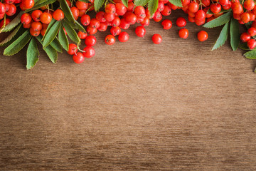 Fototapeta na wymiar Rowan berries on the brown wooden table. Autumn concept. Greeting card or web background. Empty place for a text or object. Top view.
