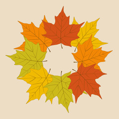 Round frame from multi colored autumn maple leaves. 