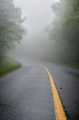 Wet Foggy Road in the Woods
