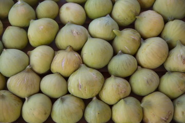 yellow lop figs.