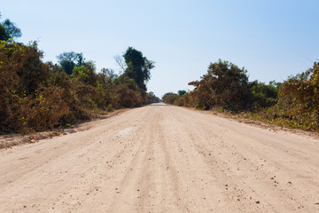 Brazilian dirt road in perspective