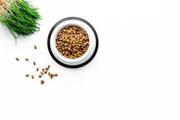 pet care with dry food for pet - cat in plastic bowl on white background top view space for text