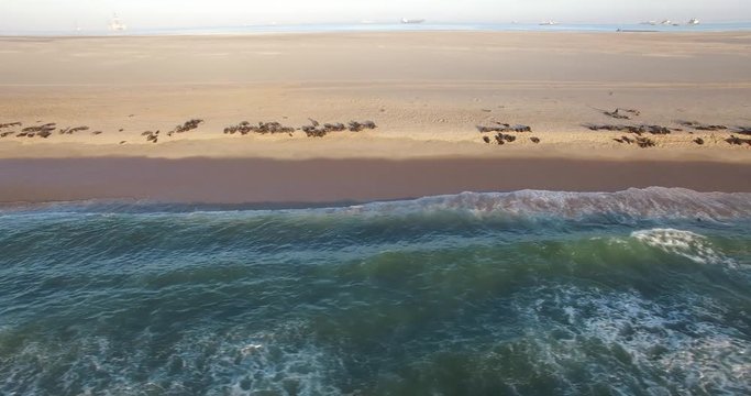 Aerial view footage of desert sand peninsula, old lighthouse and power station building on ocean seals beach, Walvis Bay lagoon view with sea background and ships at Namibia's Atlantic west coast