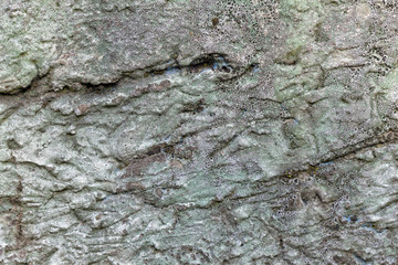 Chipped wall texture.