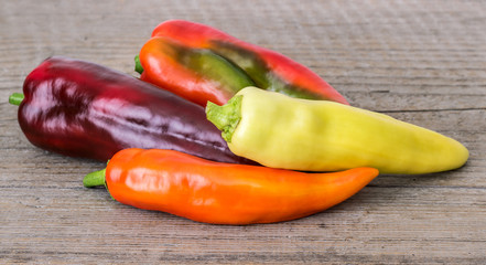 different sorts of paprika and chili