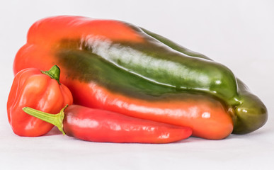 different sorts of paprika and chili
