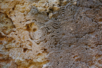 Natural color clay or concrete old texture, background, wallpaper, template