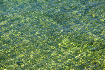 Shallow sea surface in emerald green tones. 