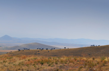 Western Mountain Landscape