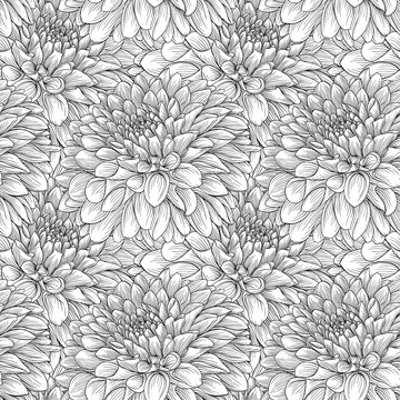 beautiful monochrome seamless background black and white dahlias Hand-drawn. Design for greeting cards and invitations of wedding, birthday, Valentine s Day, mother s day and other seasonal holiday