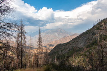 sequoia national park