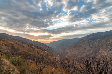 sequoia national park