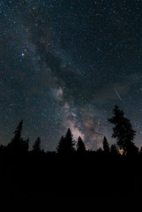 sequoia national park