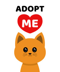 Adopt me. Dont buy. Cat Pet adoption.  