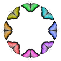 Rainbow Butterfly Border - Eight butterflies in green, turquoise, blue, purple, pink, red, orange and yellow creating a circular border isolated on a white background with copy space in the middle
