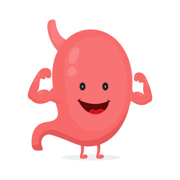 Stomach Cartoon Images – Browse 26,814 Stock Photos, Vectors, and Video |  Adobe Stock