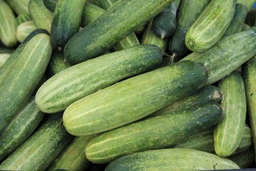 Cucumbers green fresh vegetable background
