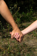 Hands hold hands