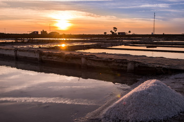 Extraction of sea salt in  Aveiro, Portugal.
