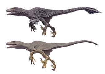 3D rendering of a Dakotaraptor with and without feathers, isolated on a white background.