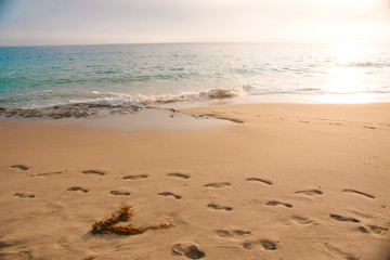 Footprints in the sand at the beach