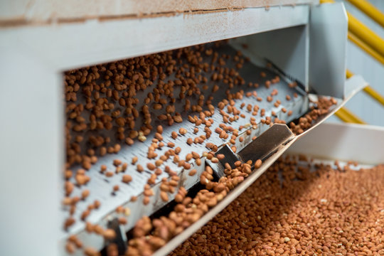 peanut process industry brazil © mailsonpignata