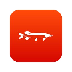 Fish icon digital red