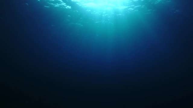 Underwater texture