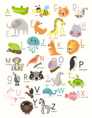 Illustration drawing style alphabet wildlife