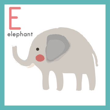 Illustration drawing style alphabet wildlife