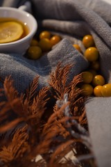 Fototapeta na wymiar Autumn berry, lemon tea and leaves on blanket