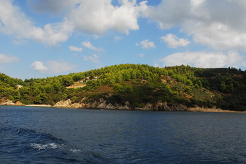 Lilac flowers background © thomaszobl