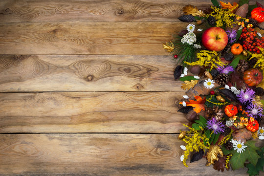 Thanksgiving background with autumn leaves, yellow and purple flowers