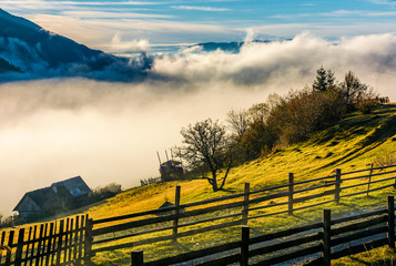 rural area on hillside in rising cloud at sunrise. gorgeous autumnal countryside scenery in foggy...