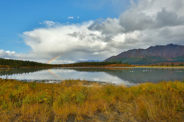 Obraz premium Rainbow over the Lake In Autumn Denali Highway Alaska