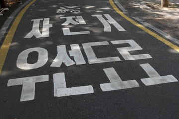 Bicycle lane sign and text on asphalt surface / Bike priority road Korean language