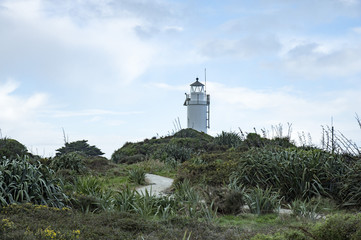 Fototapeta na wymiar Cape Foulwind Light House,South Island New Zealand