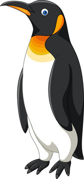 Cartoon Penguin Isolated On White Background