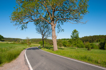 Fototapeta premium German countryside landscape in the Harz Mountains