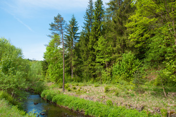 Innerste river in the Harz mountains in Germany