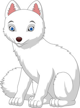 Cartoon Arctic Fox Isolated On White Background