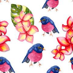 Pattern. Blue-pink birds with plumeria flowers and monster leaves. On a white background.