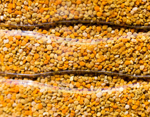 pollen collected by bees as a background