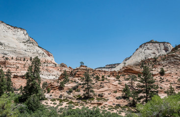 Weathering and erosion of the stone. Zion National Park, Utah, United States