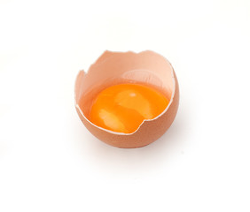 Yolk in the eggshell