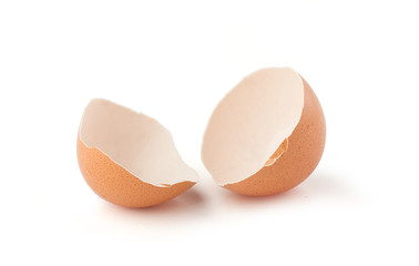 Two pieces of broken eggshell